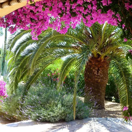 Aux Issambres Avec Piscine Privee & Vue *